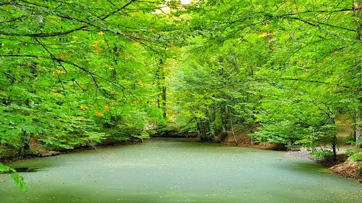 Bolu Gezi Rehberi - Mikos Store