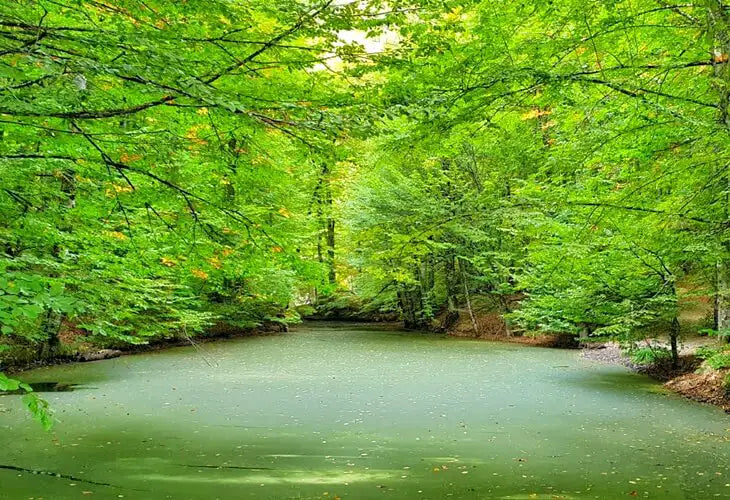 Bolu Gezi Rehberi - Mikos Store