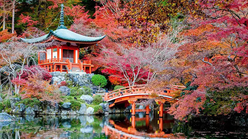 Japonya Gezi Rehberi - Mikos Store